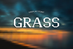 Grass Typeface: Bold Serif Display Font for High-Impact Campaigns